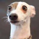 สมาชิกหมายเลข 1920468