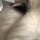 สมาชิกหมายเลข 2801533