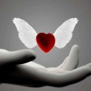 สมาชิกหมายเลข 3219880