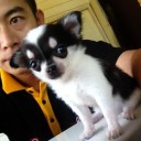 สมาชิกหมายเลข 770474