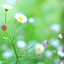 สมาชิกหมายเลข 771272