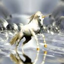 สมาชิกหมายเลข 2403446