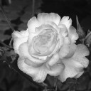 สมาชิกหมายเลข 2403803