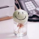 สมาชิกหมายเลข 2556882