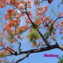 สมาชิกหมายเลข 770817