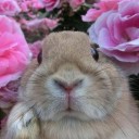 สมาชิกหมายเลข 1170766