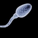 สมาชิกหมายเลข 1941617