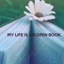 สมาชิกหมายเลข 771981