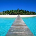 สมาชิกหมายเลข 1147901