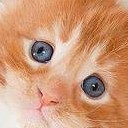 สมาชิกหมายเลข 1171175