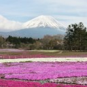 สมาชิกหมายเลข 1557999