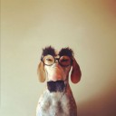 สมาชิกหมายเลข 2011807