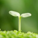 สมาชิกหมายเลข 2241883