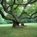 สมาชิกหมายเลข 3229607