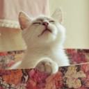 ผ้าห่มสีฟ้า