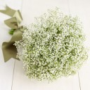 สมาชิกหมายเลข 771111