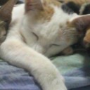 สมาชิกหมายเลข 772151