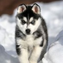 สมาชิกหมายเลข 772381