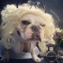 สมาชิกหมายเลข 1580507