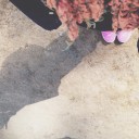 สมาชิกหมายเลข 2012285