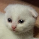 สมาชิกหมายเลข 2402574