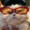 สมาชิกหมายเลข 2404712