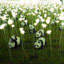 สมาชิกหมายเลข 2791906