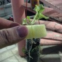 Pro_Boy {Touch of Nature}