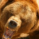 สมาชิกหมายเลข 2223560