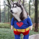 สมาชิกหมายเลข 2803588