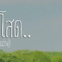 สมาชิกหมายเลข 873498