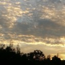 สมาชิกหมายเลข 3049710