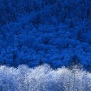 สมาชิกหมายเลข 1875203