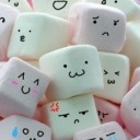 ชื่อที่ไม่มีใคร