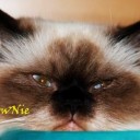 นายตัวโต