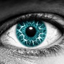 สมาชิกหมายเลข 2406019