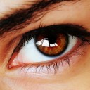 สมาชิกหมายเลข 2406193