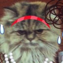 ดุ๊กดิ๊กเป็นพ่อแมว