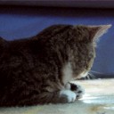 ยิ้มค่อยๆ