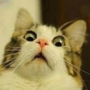 สมาชิกหมายเลข 774279