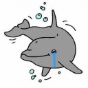 สมาชิกหมายเลข 1585287