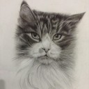 สมาชิกหมายเลข 2014811