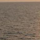 สมาชิกหมายเลข 780832