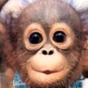 สมาชิกหมายเลข 1356565