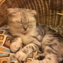 สมาชิกหมายเลข 2399433