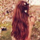 สมาชิกหมายเลข 2805112