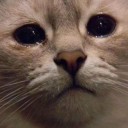 สมาชิกหมายเลข 2230304