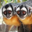 สมาชิกหมายเลข 3232793