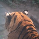 สมาชิกหมายเลข 774650