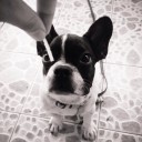 มนุษย์แว่นตัวป่วน